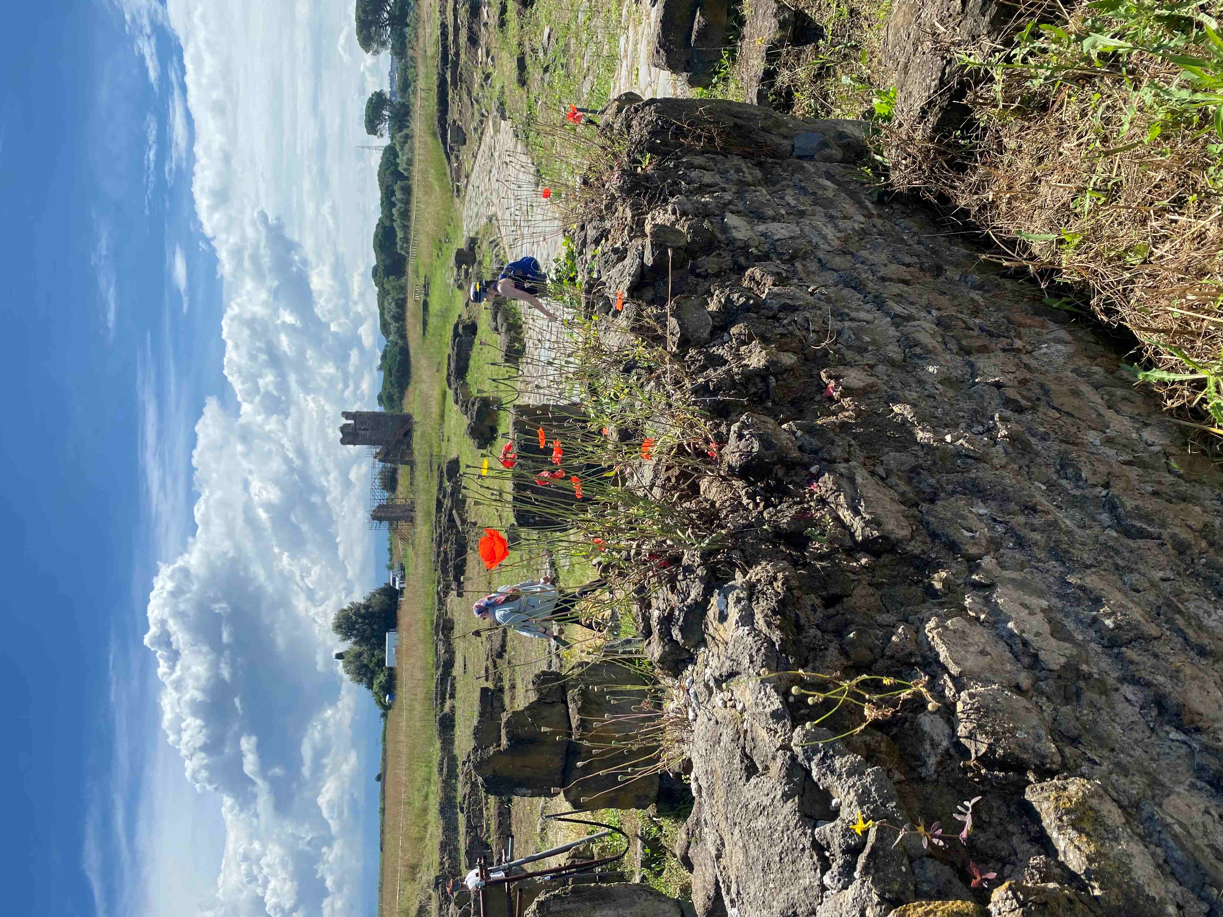 Archaeological Field Schools Archaeological Field Schools