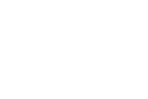 19% international students