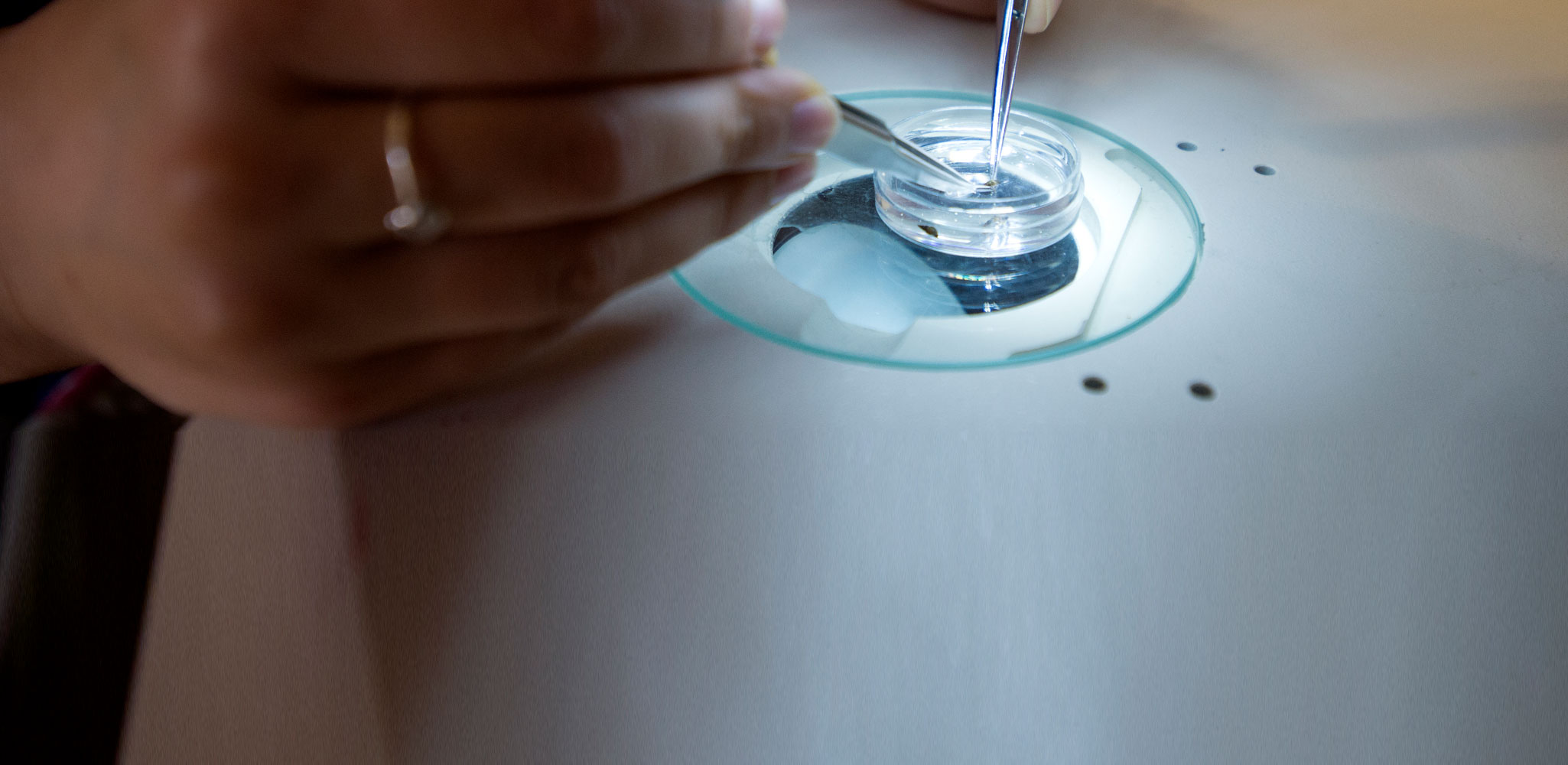 Deanna Soper, PhD - First Generation Faculty 