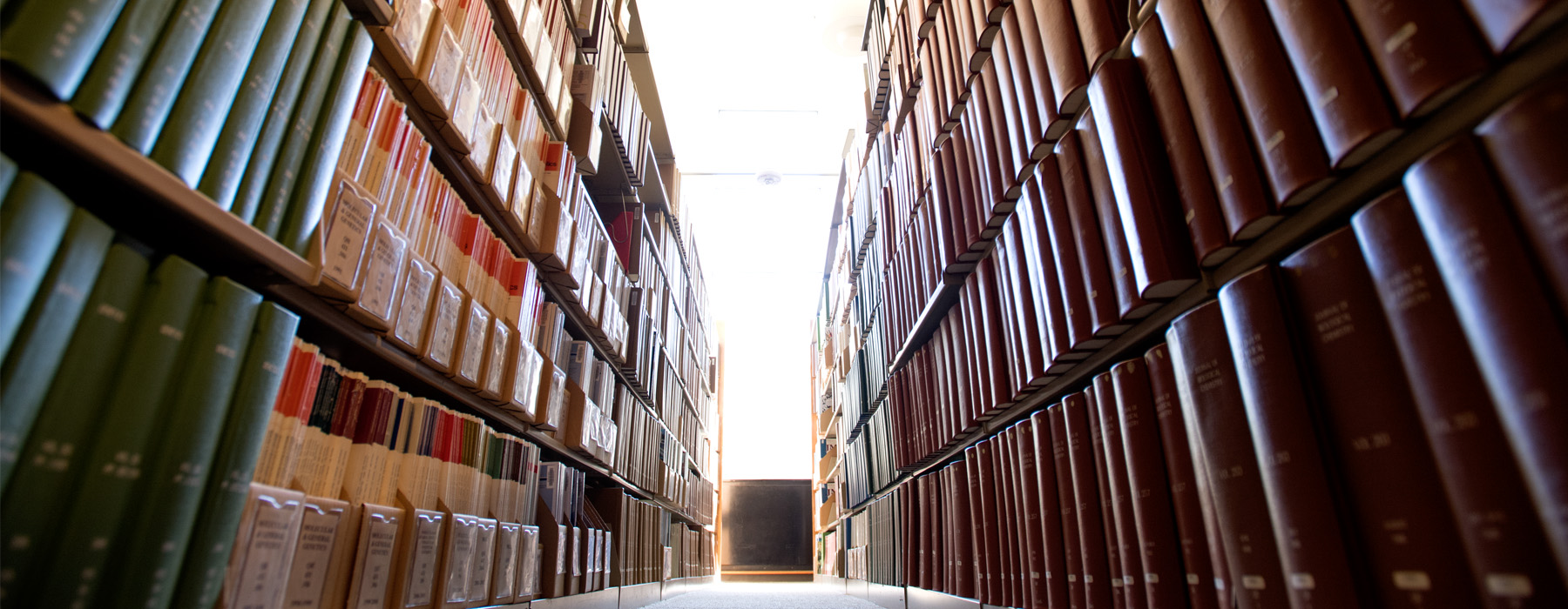 Test Image Test Image